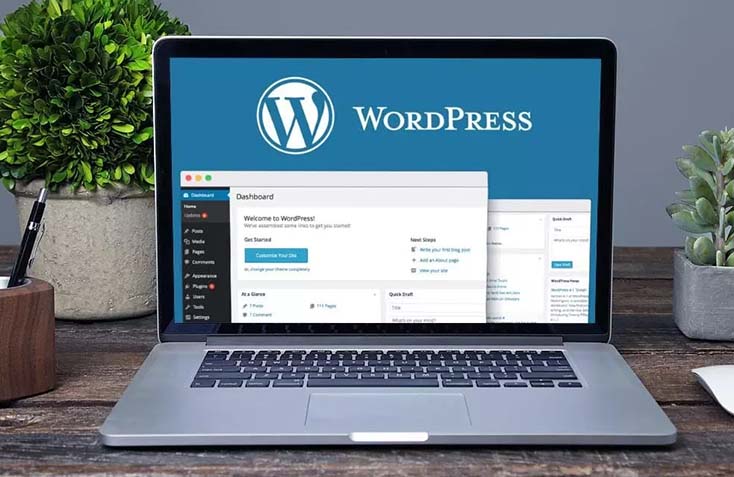 Wordpress Development